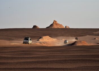 راه‌اندازی سایت لوت شناسی دکتر احمد مستوفی