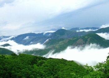 پرونده جنگل‌های دیزمار در قالب پرونده میراث جهانی ارسباران به یونسکو ارسال می‌شود