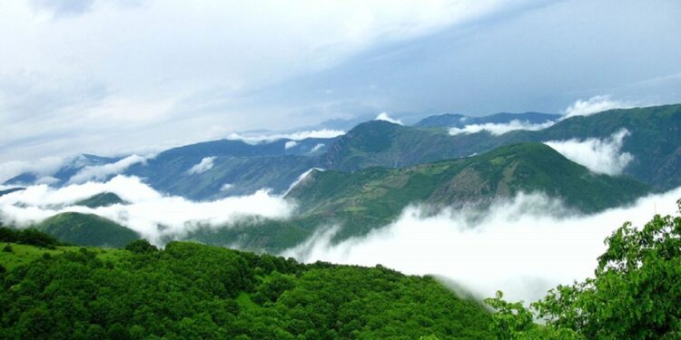 پرونده جنگل‌های دیزمار در قالب پرونده میراث جهانی ارسباران به یونسکو ارسال می‌شود