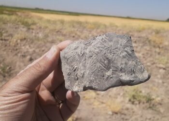 کشف بیش از یک‌هزار مهر دوره آغاز ایلامی در کاوش تپه تیلینه کرمانشاه