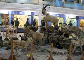 درخشش موزه طبیعی تاریخی استان لرستان در ایکوم