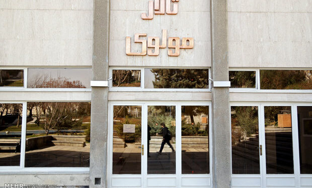 «شبیه آنتیگونه» به مرکز تئاتر مولوی می‌آید