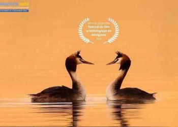 مستند «کشیم عاشق» در جشنواره «منیگوت» فرانسه