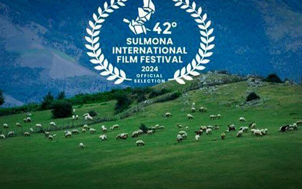 فیلم کوتاه گوسفند بهترین فیلم کوتاه جشنواره سالمونا شد 1 فیلم کوتاه گوسفند بهترین فیلم کوتاه جشنواره سالمونا شد