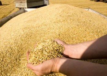 آماده‌سازی پرونده ۲ اثر ناملموس «خاپوره» و «مال خدای»