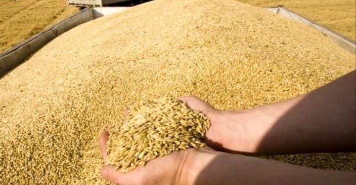 آماده‌سازی پرونده ۲ اثر ناملموس «خاپوره» و «مال خدای»