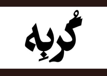 نمایش «گربه» در خانه‌نمایش دا اجرا می‌شود