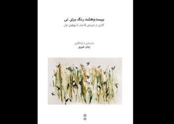 کتاب «بیست و هشت رنگ برای نی» منتشر شد