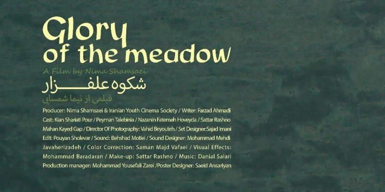 فیلم کوتاه شکوه علفزار