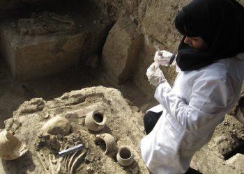 کارگروه ژنتیک باستان و تبارشناسی تشکیل شد