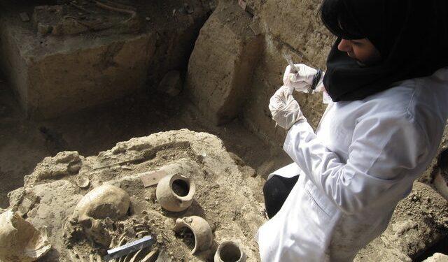 کارگروه ژنتیک باستان و تبارشناسی تشکیل شد