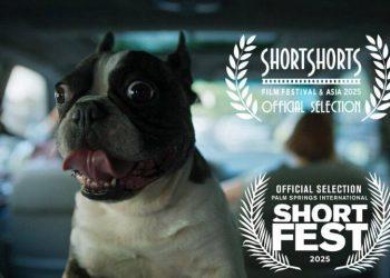 حضور «گوسفند» در ژاپن و آمریکا