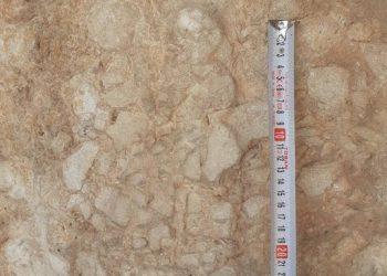 کشف سیزدهمین نگارکند عیلامی ایذه