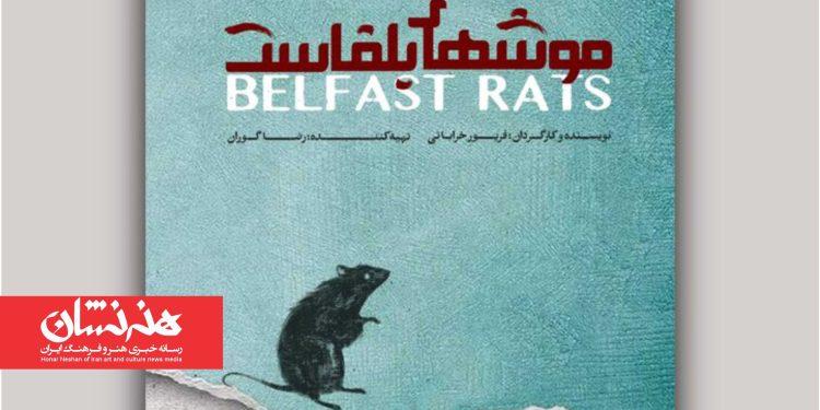 نمایش «موش‌های بلفاست» در مجموعه کاخ هنر