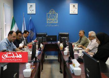 نشست تدوین «سند حفاظت از آرایه های معماری ایران» برگزار شد